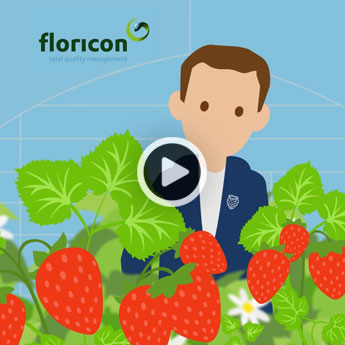 Met software van Floricon heb je zicht op je informatie en rapportage processen